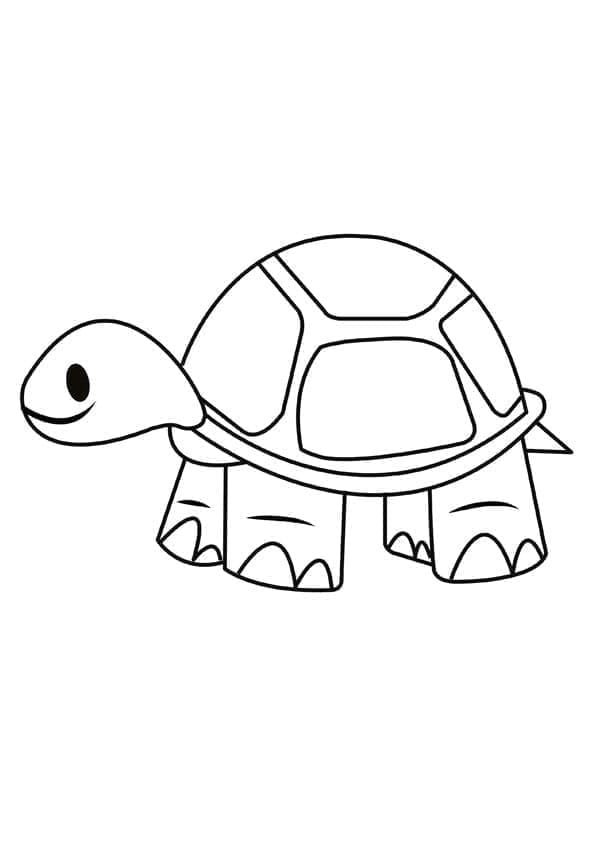 Målarbild Sköldpadda Gratis för Barn