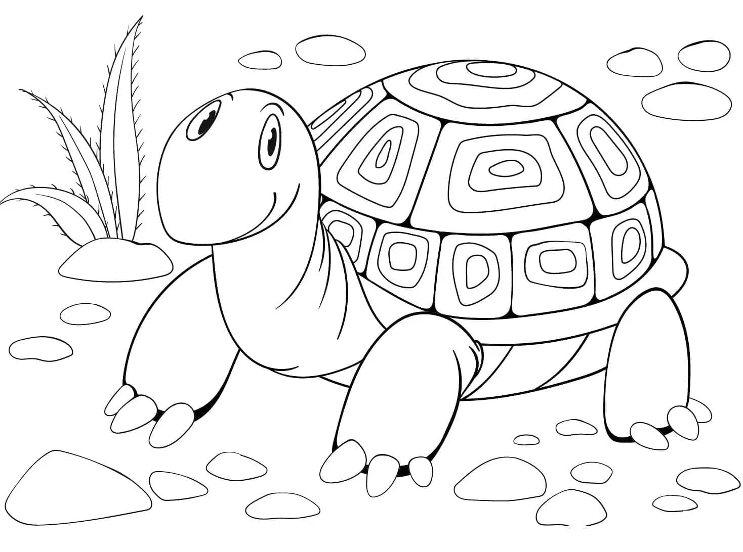 Målarbild Sköldpadda Gratis