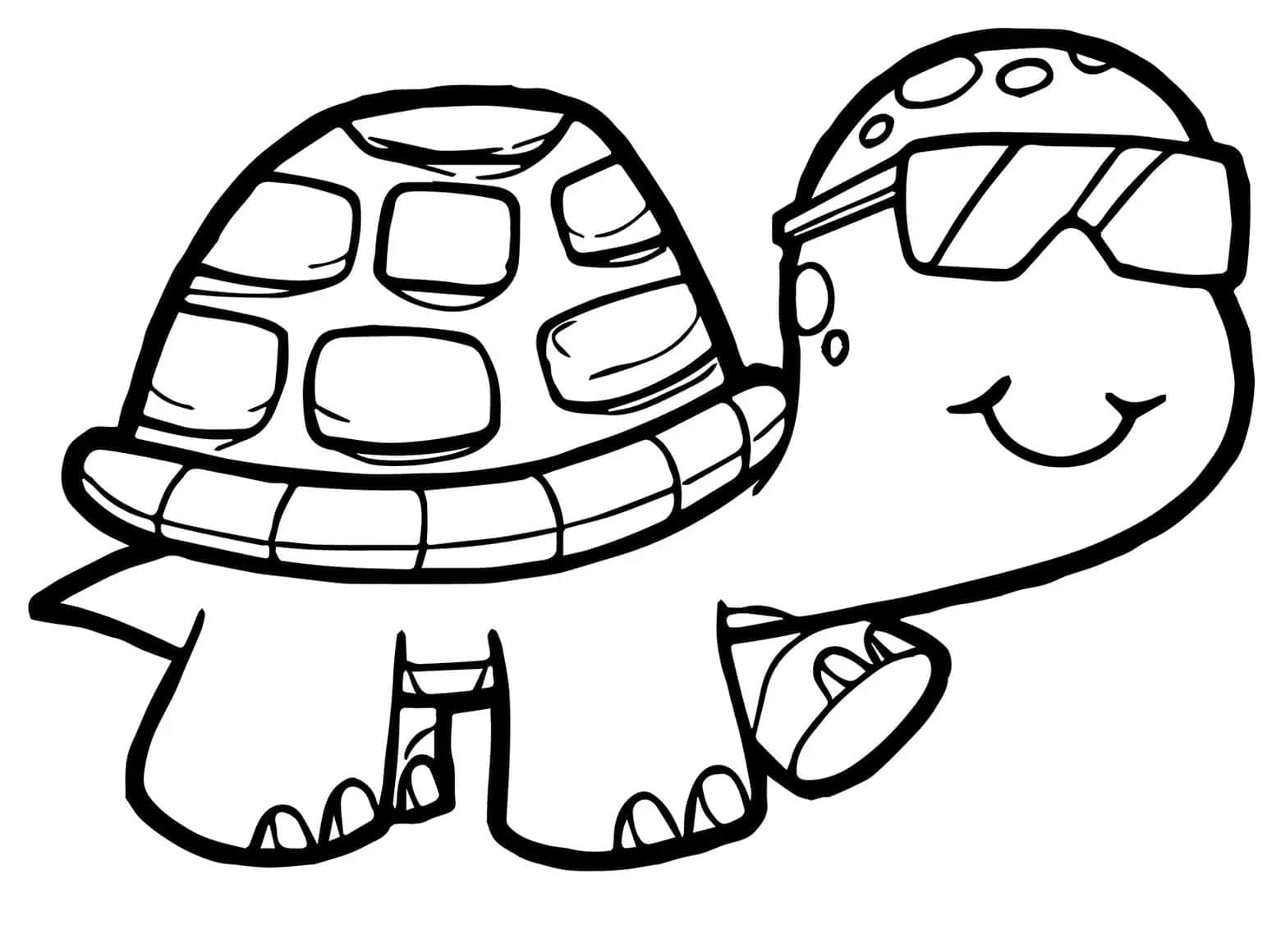 Målarbild Sköldpadda med Solglasögon
