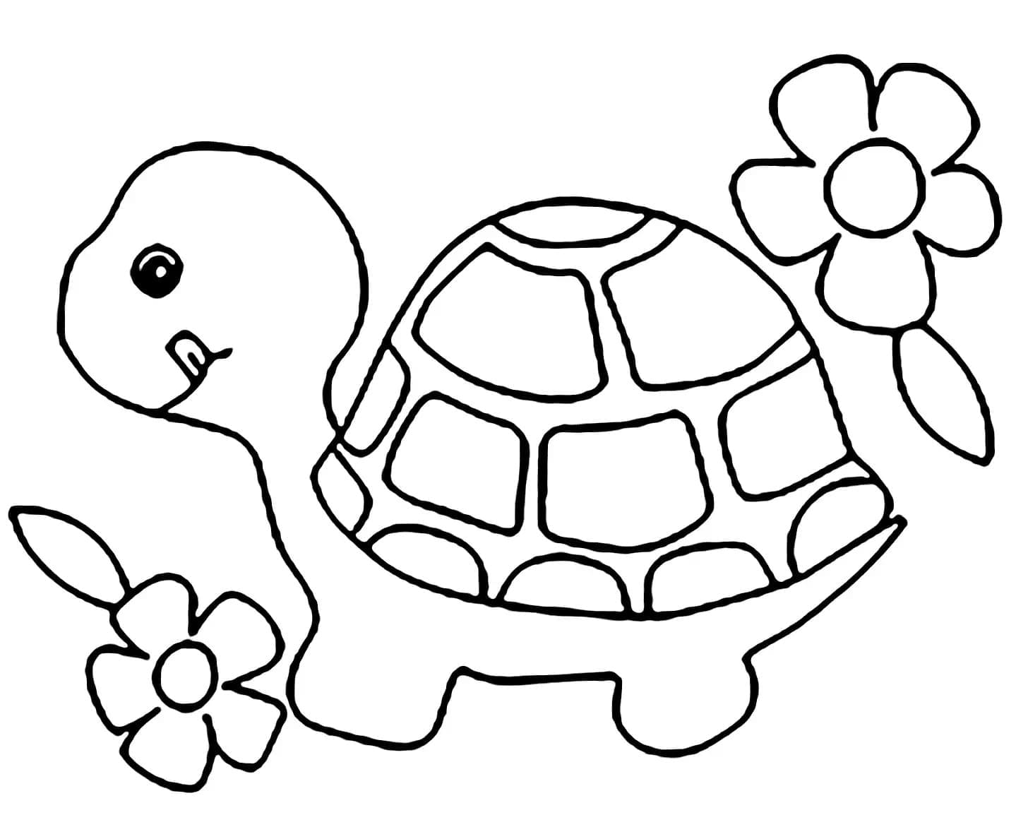 Målarbild Sköldpadda och Blommor