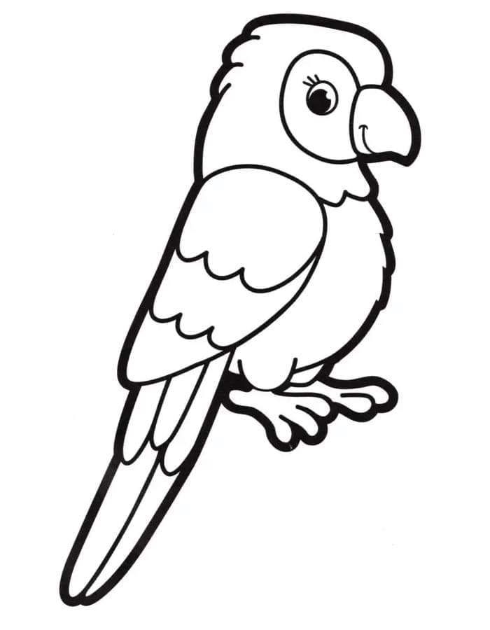 Målarbild Söt Papegoja för Barn