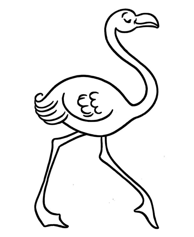 Målarbilder Flamingo