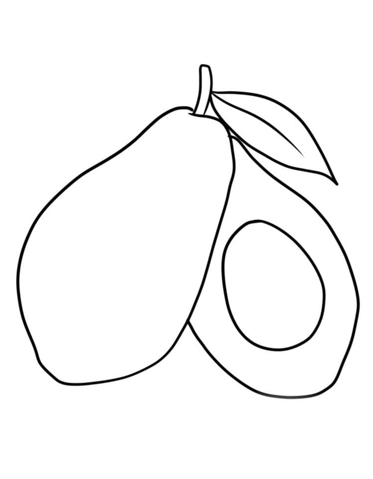 Målarbild Avokado Frukt