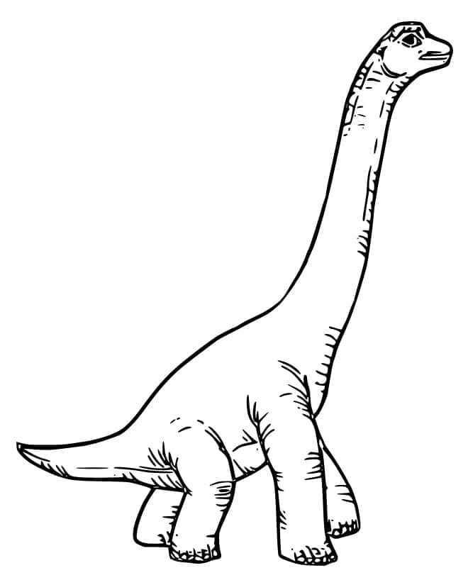 Målarbild Brachiosaurus 1