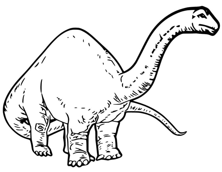 Målarbild Brachiosaurus 2