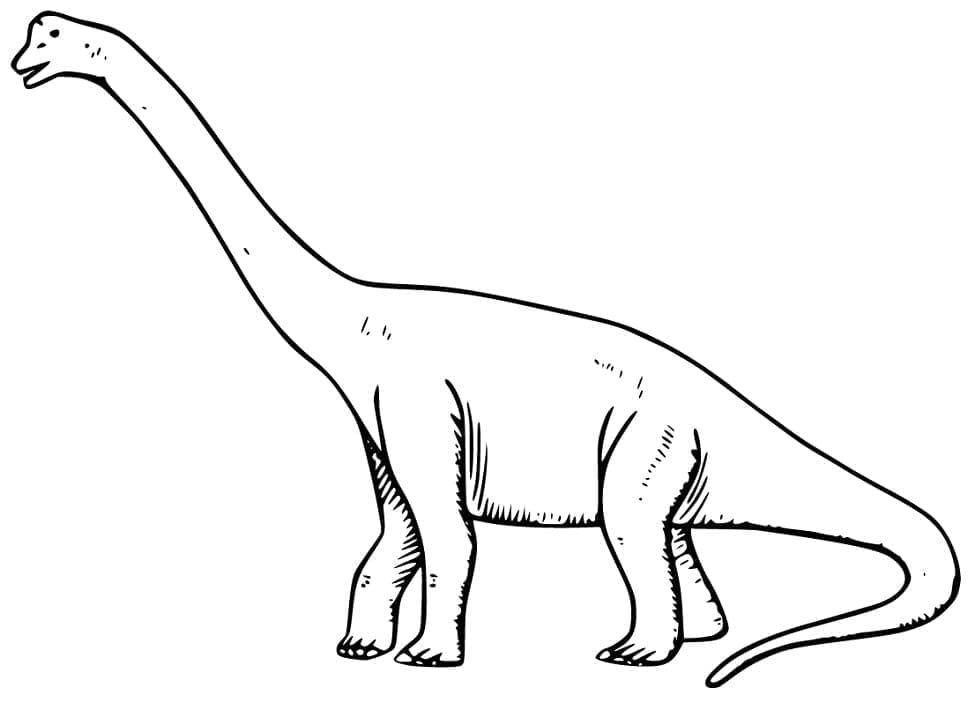 Målarbild Brachiosaurus Dinosaurie för Barn
