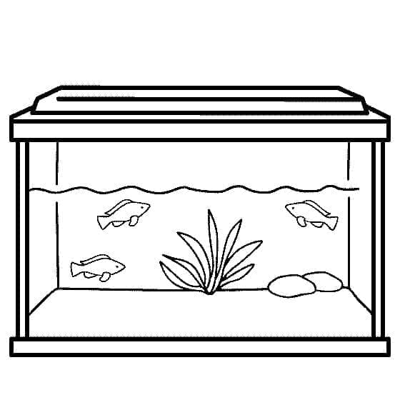 Målarbild Enkel Akvarium