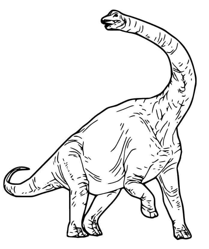 Målarbild Realistisk Brachiosaurus