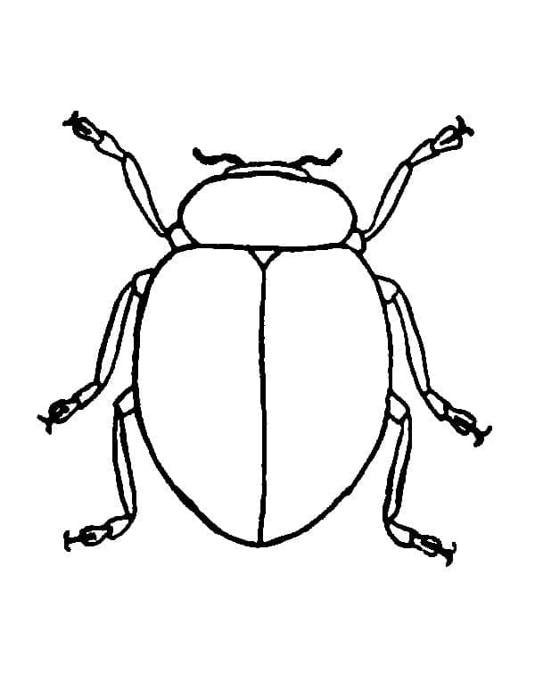 Målarbild Beetle för Barn