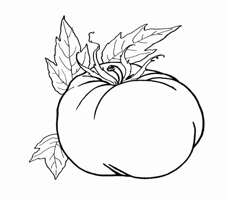 Målarbild Färsk Tomat