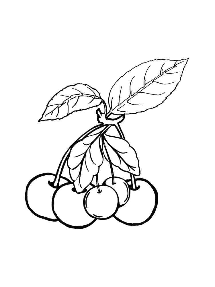 Målarbild Körsbär med Löv