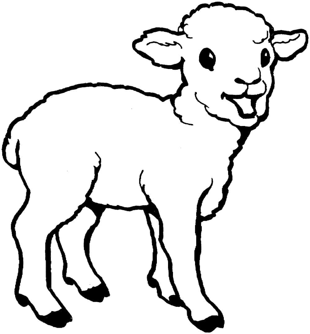 Målarbild Lamm 2
