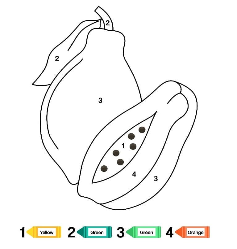 Målarbild Papaya Måla efter nummer