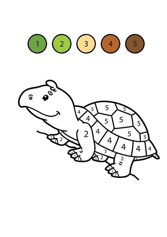 Målarbild Sköldpadda Måla efter nummer