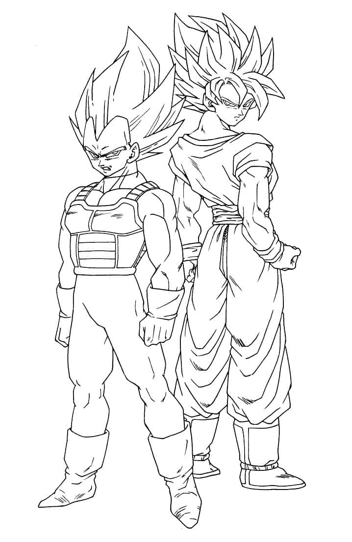 Målarbild Vegeta och Son-Goku