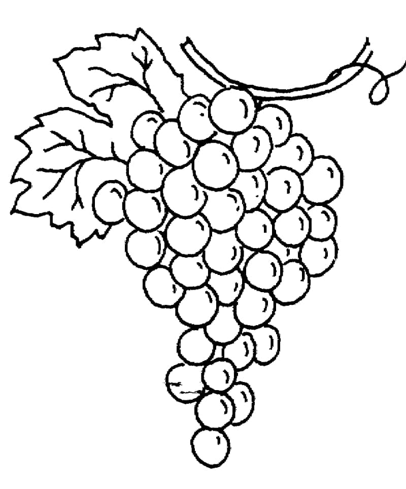 Målarbild Vindruvor 1