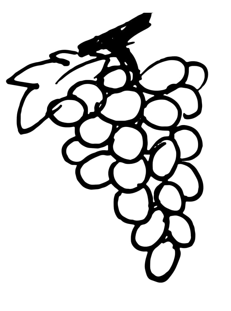 Målarbild Vindruvor 2