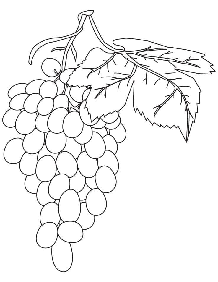 Målarbild Vindruvor för Barn