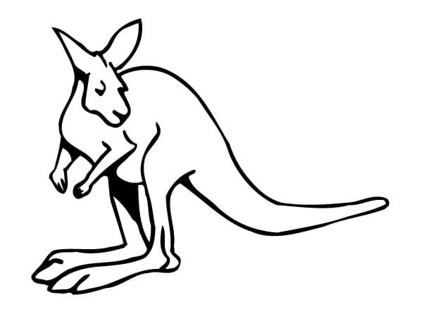 Målarbild En Känguru