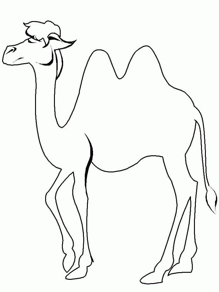 Målarbild Enkel Kamel