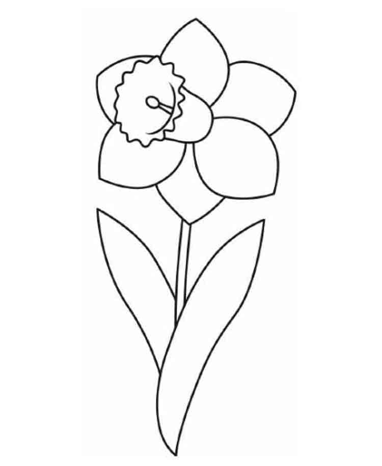 Målarbild Enkel Påsklilja
