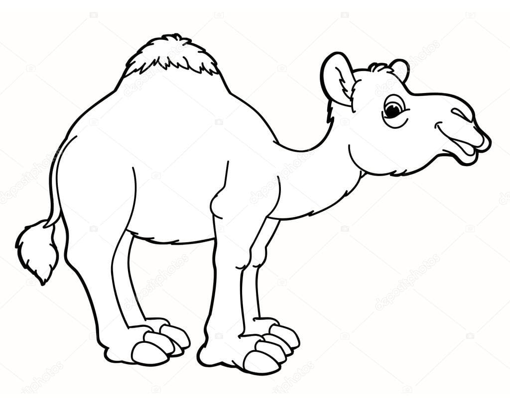 Målarbild Glad Kamel