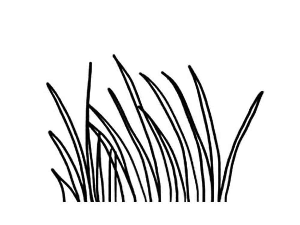 Målarbild Gräs 2