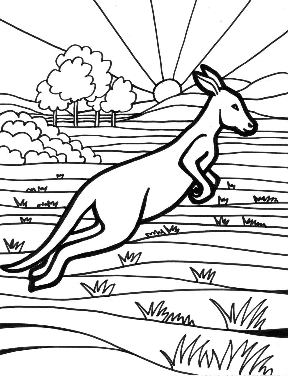 Målarbild Hoppande Känguru