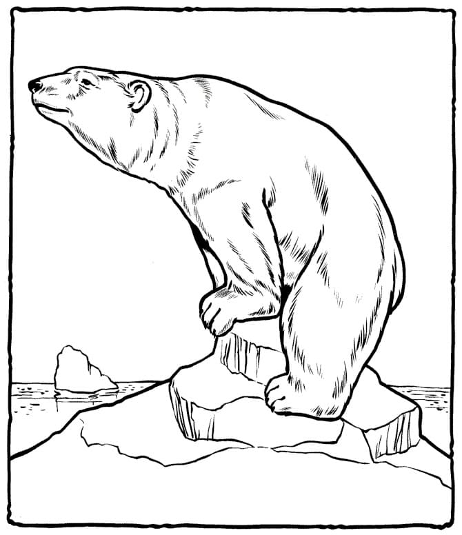 Målarbild Isbjörn för Barn