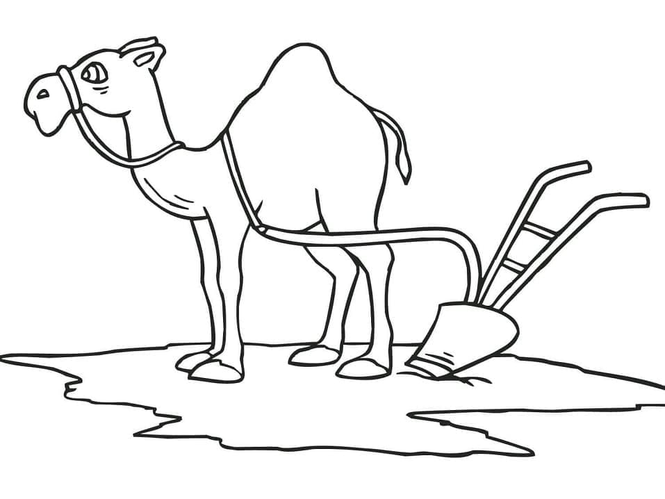 Målarbild Kamel