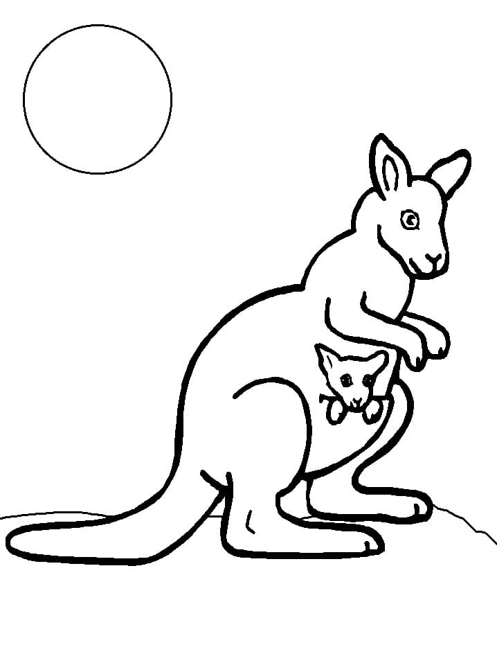 Målarbild Känguru 1