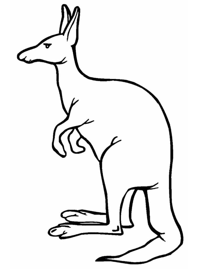 Målarbild Känguru 5