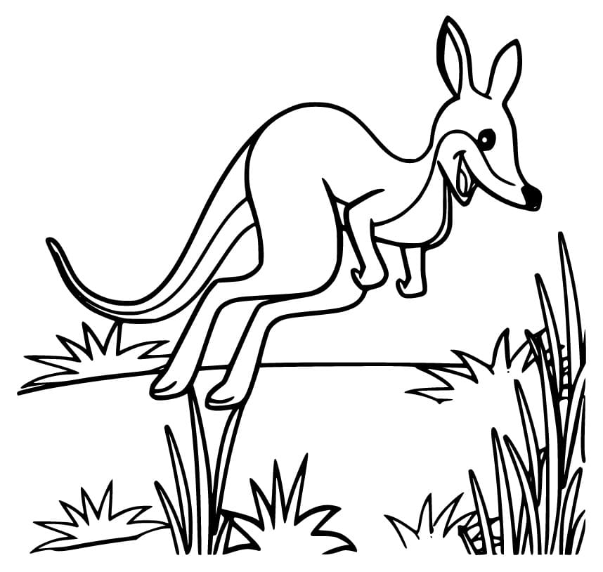Målarbild Känguru 6