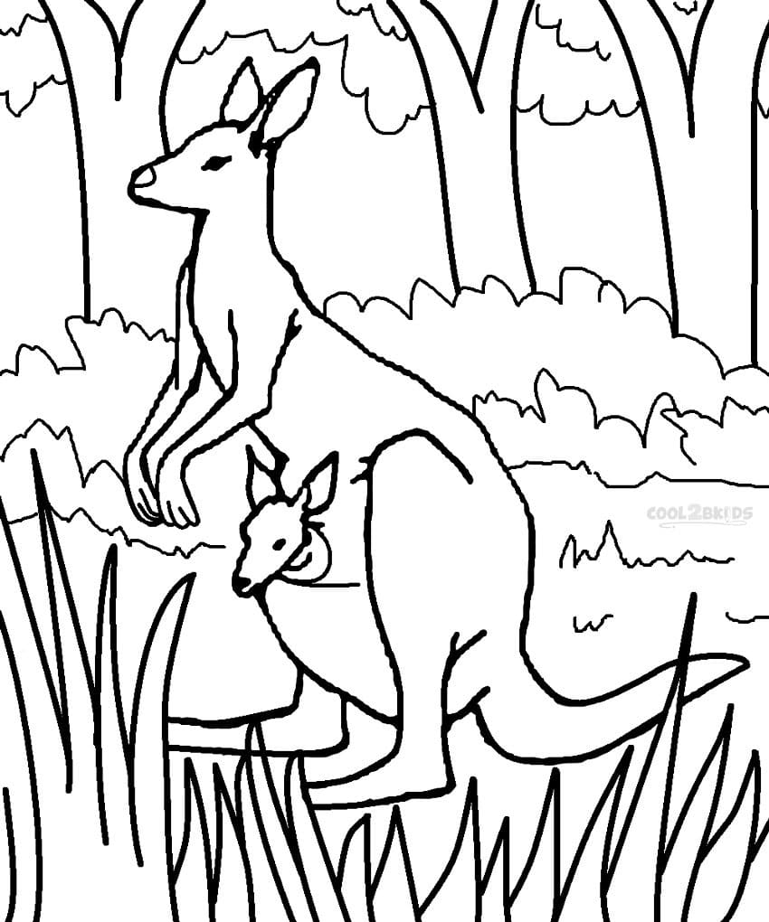 Målarbild Känguru i Skogen
