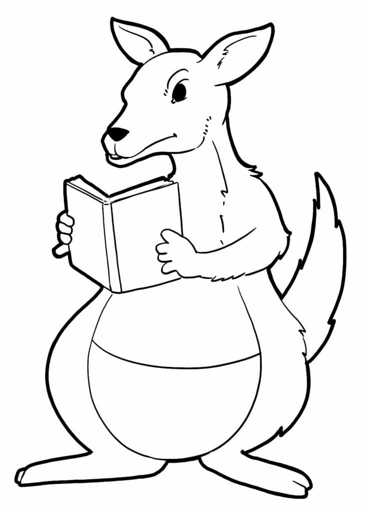 Målarbild Känguru Läser Bok