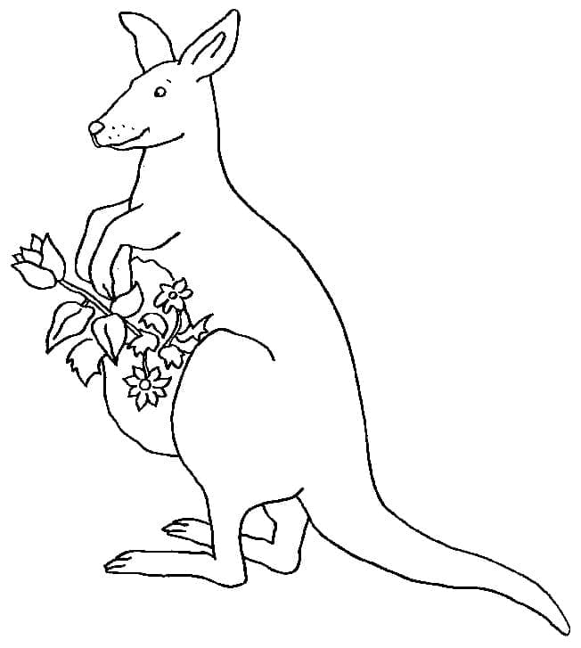 Målarbild Känguru och Blommor