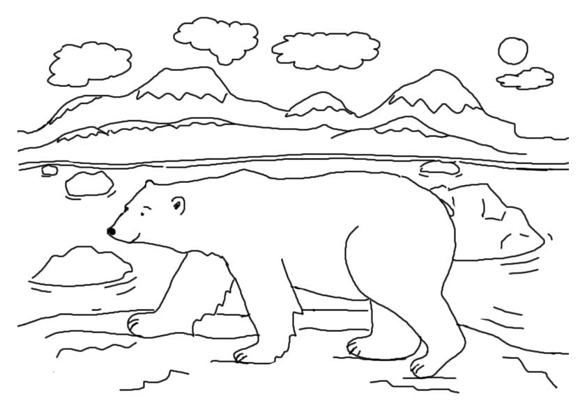 Målarbilder Isbjörn