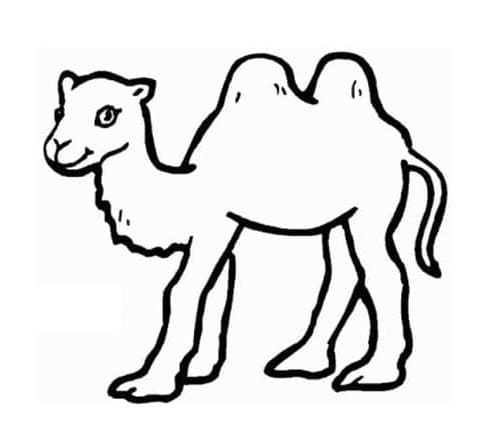 Målarbild Liten Kamel