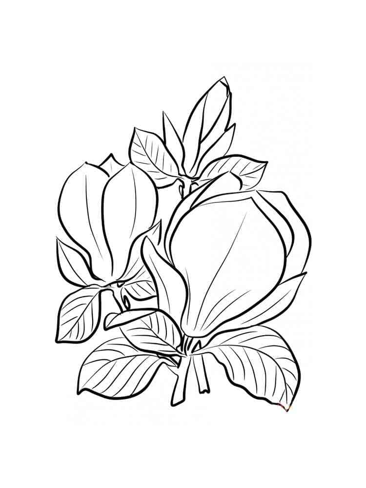 Målarbild Magnolia 3