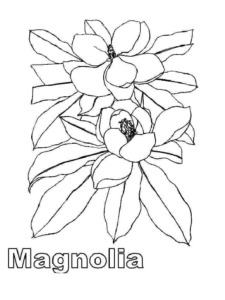 Målarbild Magnolia Blomma för Barn