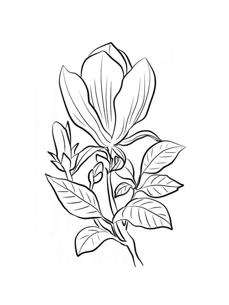 Målarbild Magnolia för Barn