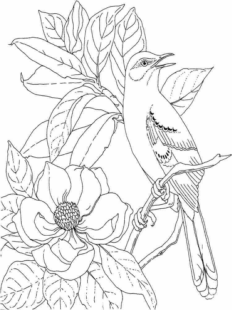 Målarbild Magnolia och en Fågel