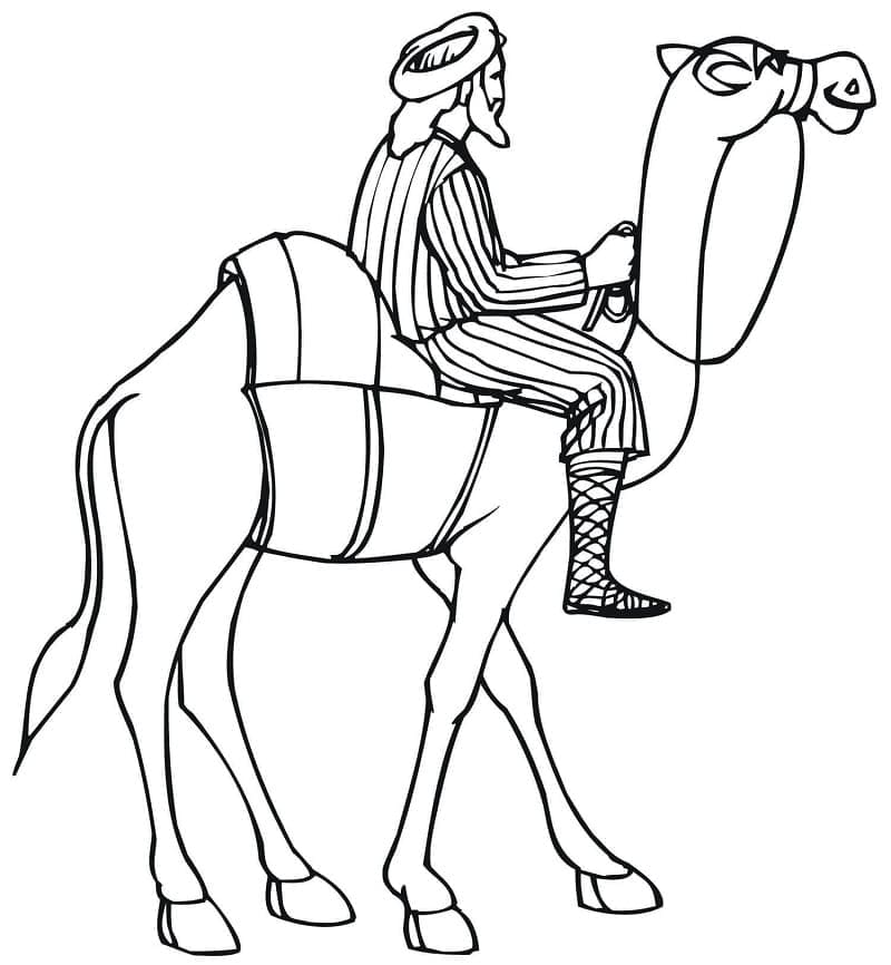 Målarbild Man Rider på Kamel