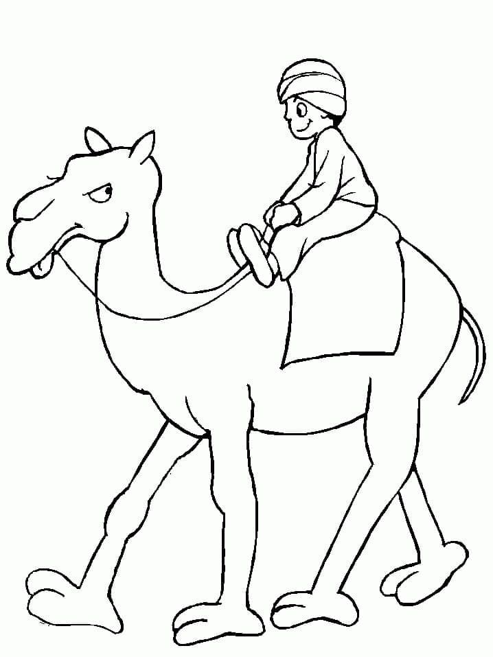 Målarbild Rider på Kamel