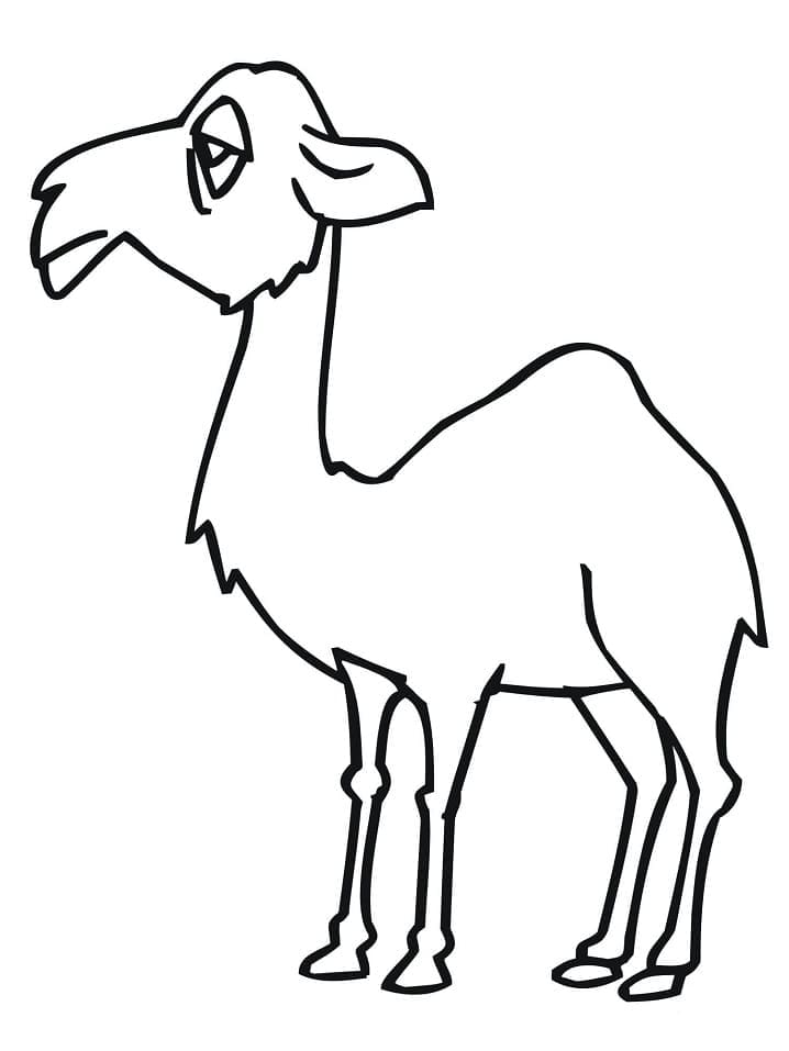 Målarbild Rolig Kamel