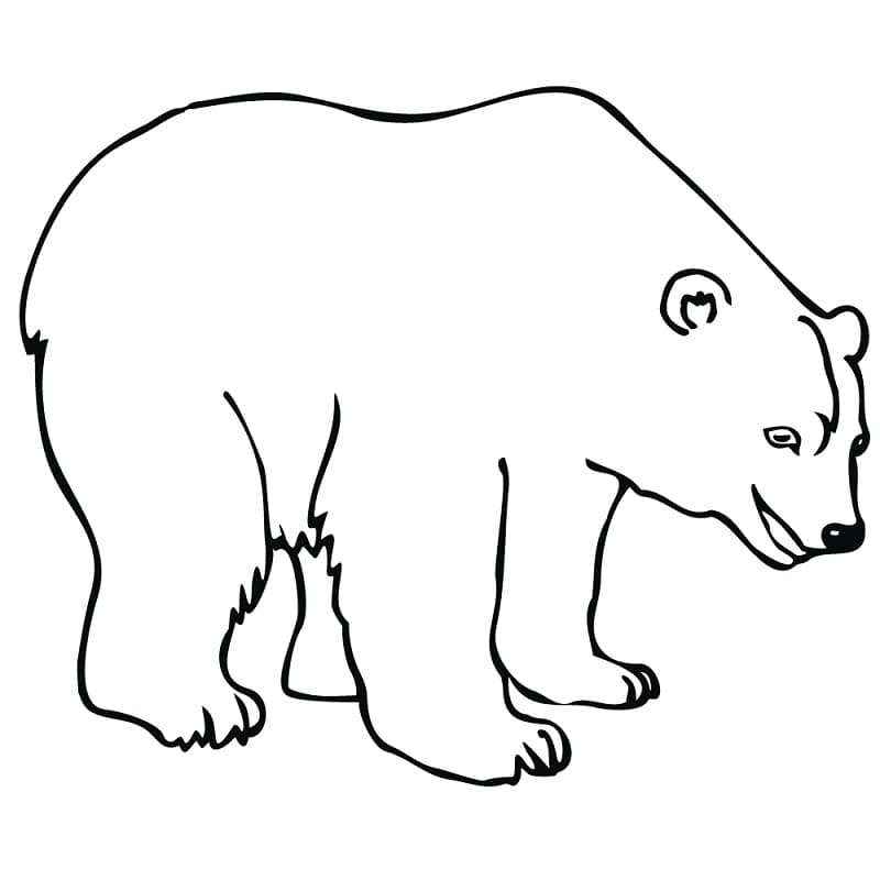 Målarbild Stor Isbjörn
