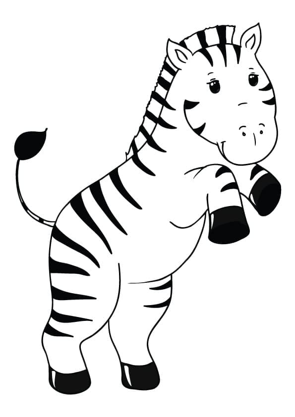 Målarbild Baby Zebra