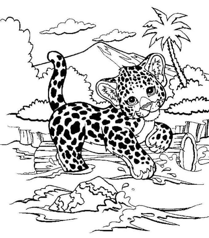 Målarbild Bebis Gepard