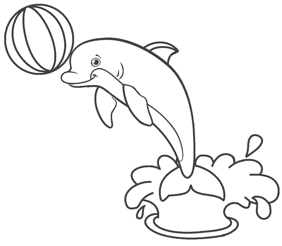 Målarbild Delfin med en Boll