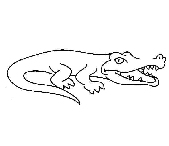 Målarbild Enkel Krokodil
